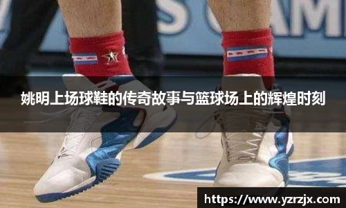 中欧体育