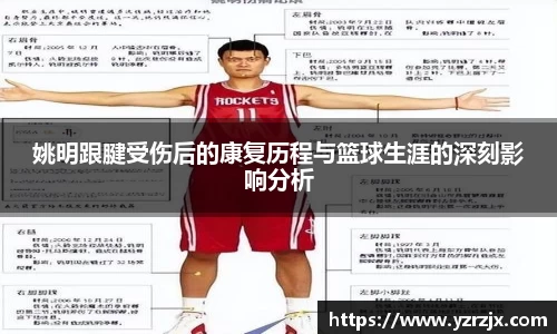 中欧体育网址