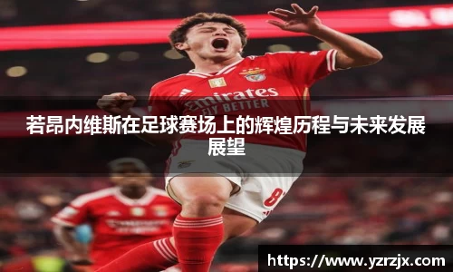 中欧体育