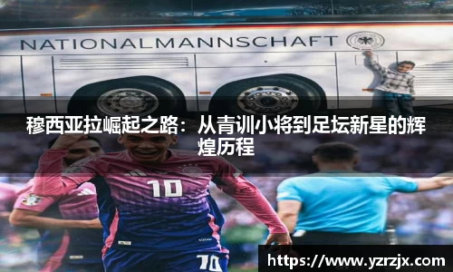中欧体育官网
