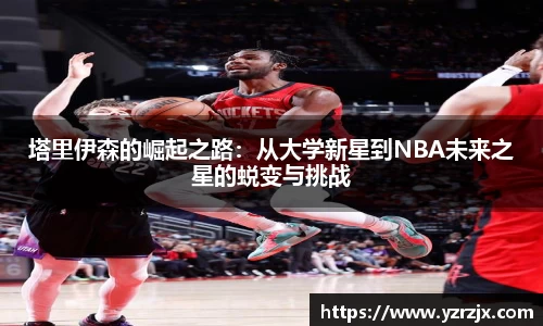 中欧体育官网